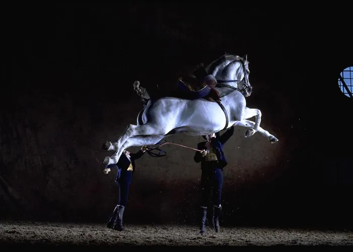 Loft Catedral Jerez *