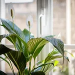 Loft Catedral Jerez Апартаменты *